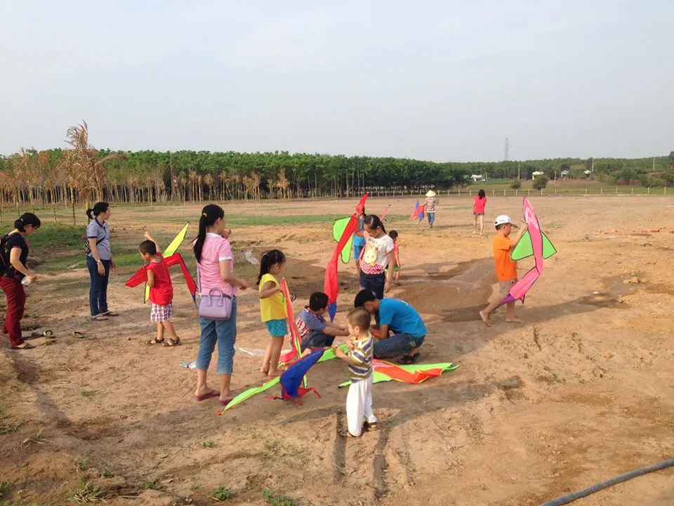 thả diều