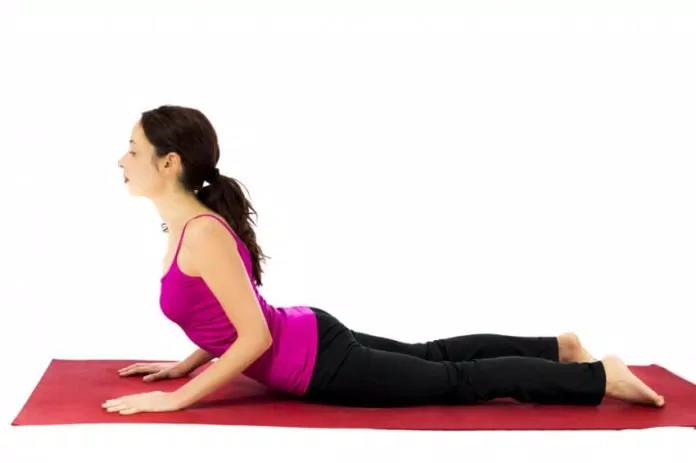 tư thế rắn hổ mang trong yoga