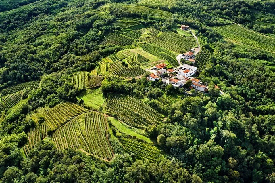 Thung lũng Vipava