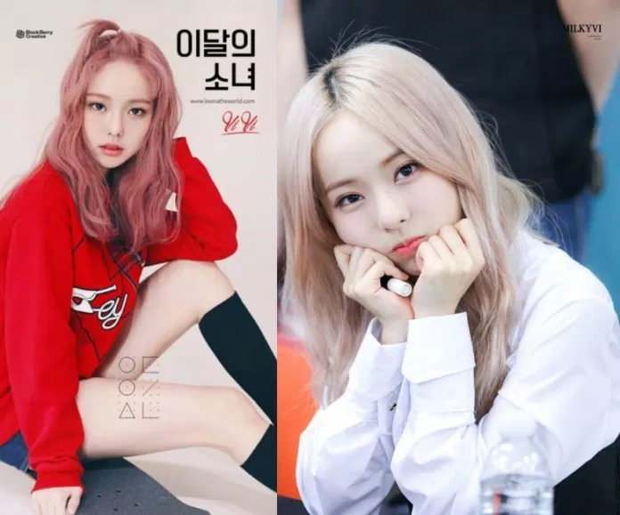 vivi vivi