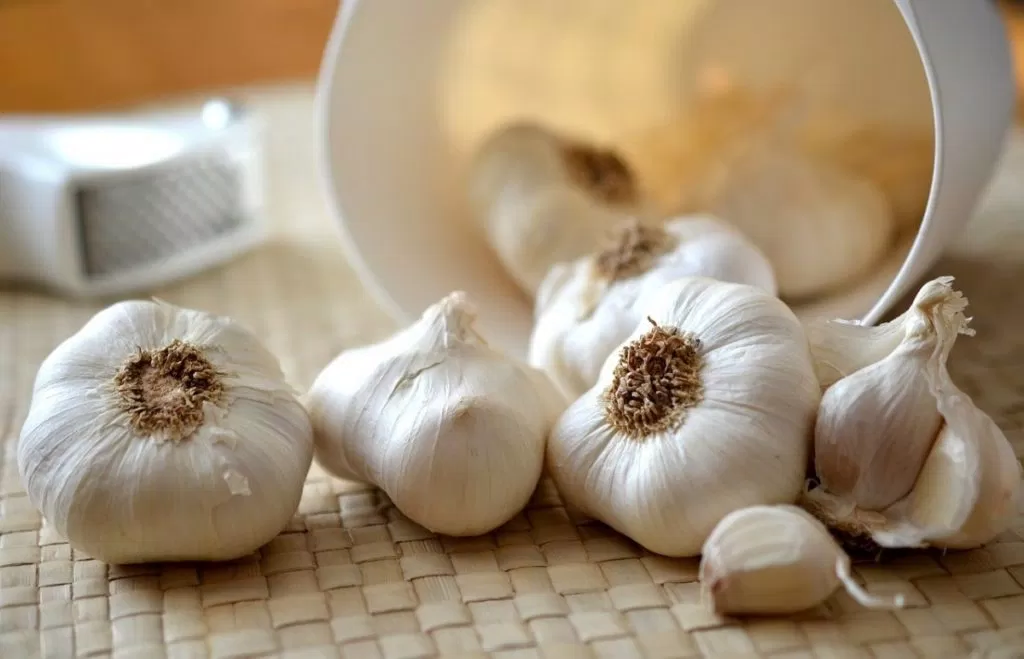 Ăn tỏi sống mỗi ngày