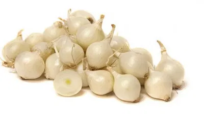 Củ nén