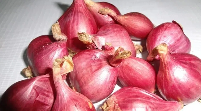 Hành Lý Sơn