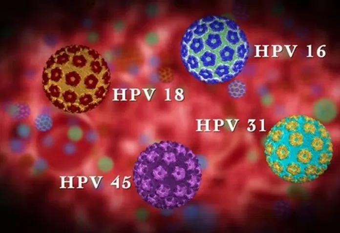 HPV