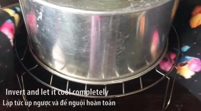 Bánh bông lan tạo hình ombre