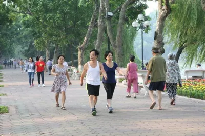 Đi bộ