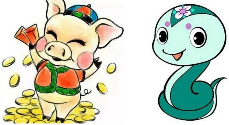 tỵ hợi