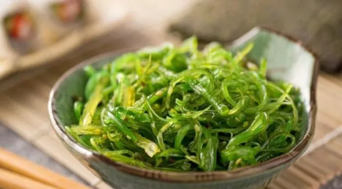 lợi ích của rong biển