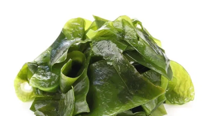 lợi ích của rong biển