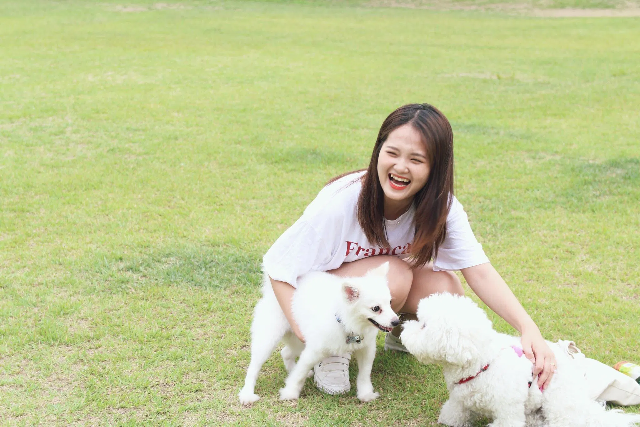 Ánh Sunny