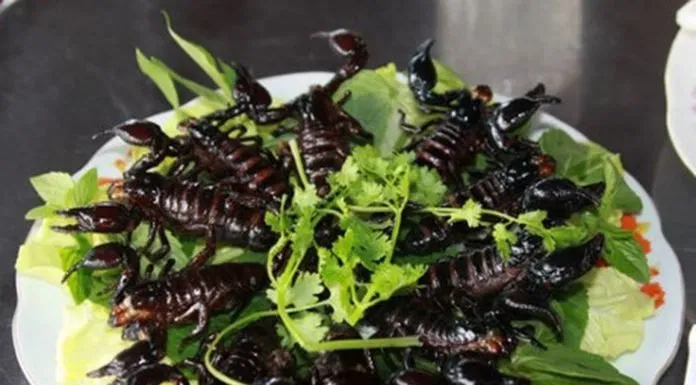 bò cạp bảy núi