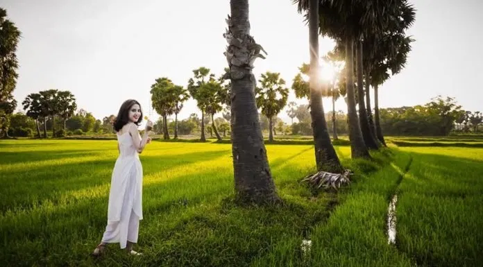 cánh đồng
