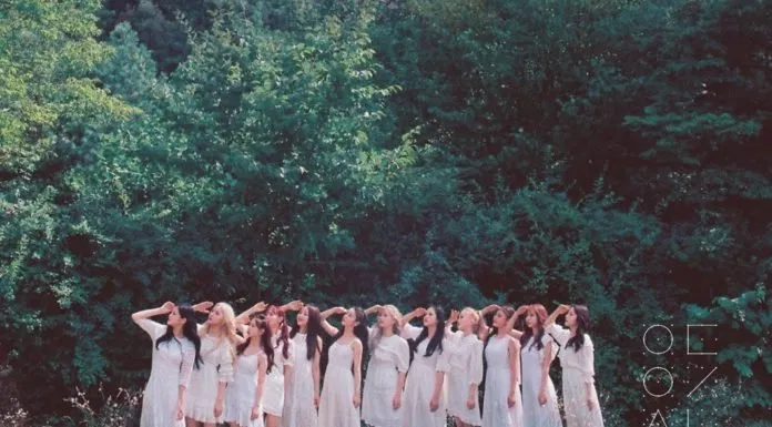 Thông tin thành viên nhóm nhạc LOONA Nhóm nhạc nữ LOONA gồm 12 thành viên (Ảnh: Internet)