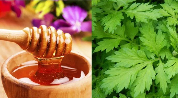 Ngải cứu và mật ong