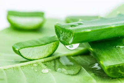 Cách chữa bỏng tại nhà