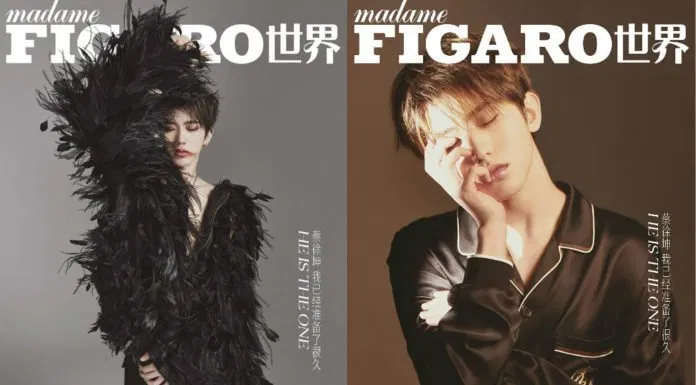 Madame Figaro