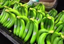 Giảm cân bằng chuối xanh luộc