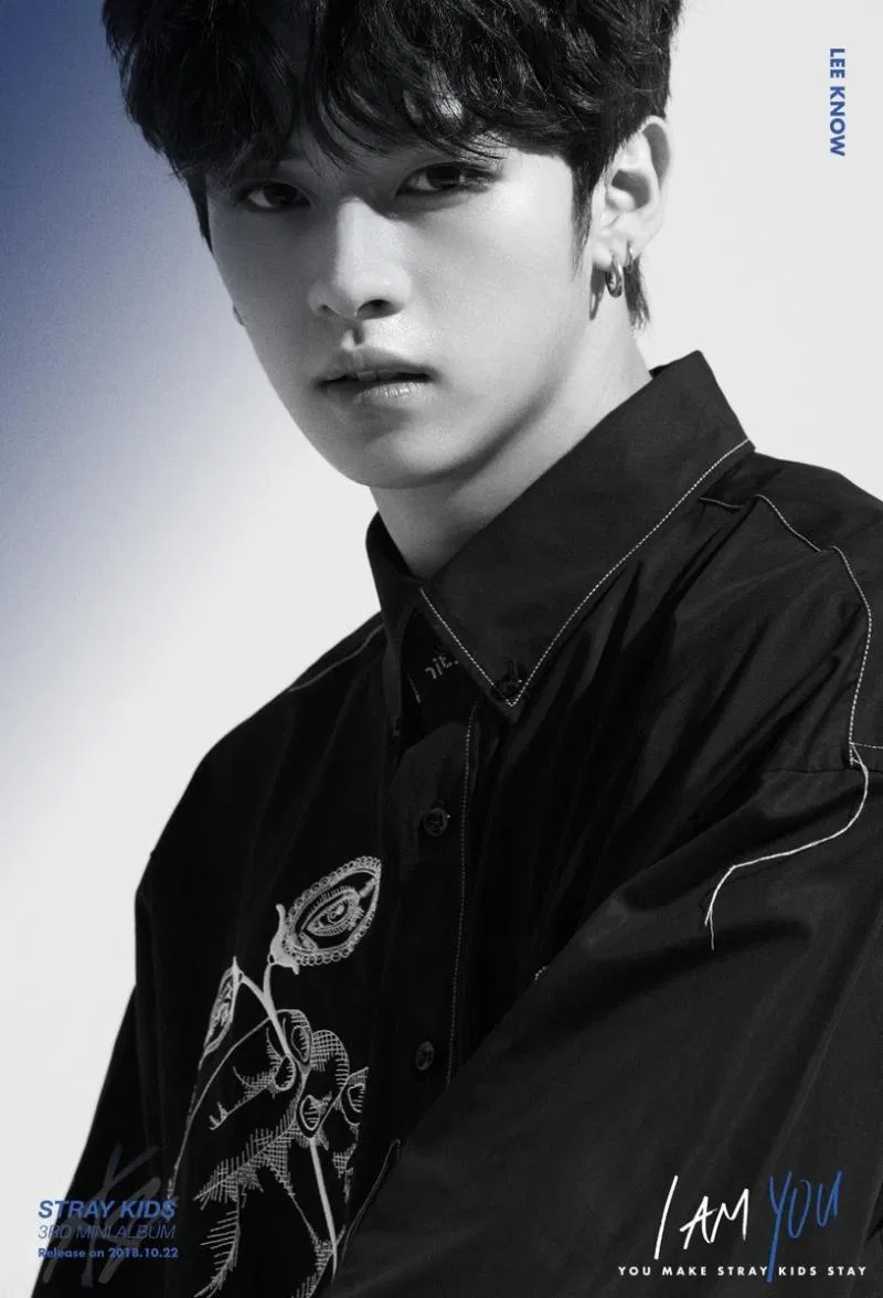 Dáng nhảy tượng tạc Lee Know (Ảnh: Internet)