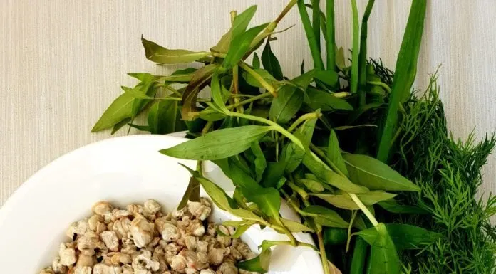 Nguyên liệu của món bún hến trộn (Nguồn : BlogAnChoi) Nguyên liệu của món bún hến trộn (Nguồn : BlogAnChoi)