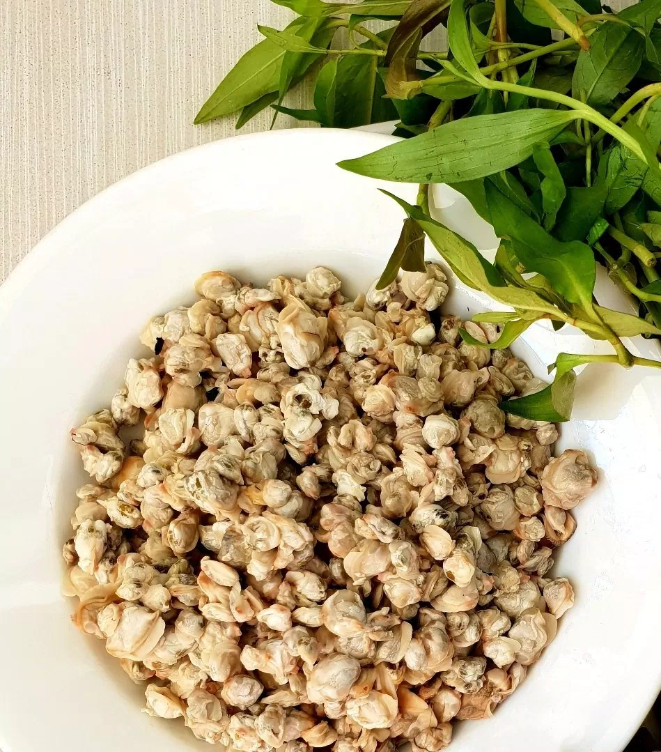 Thịt hến rửa sạch, vắt kiệt nước (Nguồn : BlogAnChoi) Thịt hến rửa sạch, vắt kiệt nước (Nguồn : BlogAnChoi)