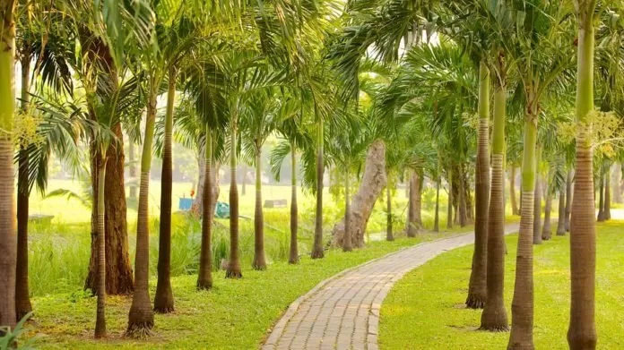 Lumphini Park