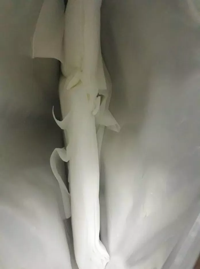 Mặt nạ được xếp gọn gàng trong túi zip (Nguồn: BlogAnChoi) Mặt nạ được xếp gọn gàng trong túi zip (Nguồn: BlogAnChoi)
