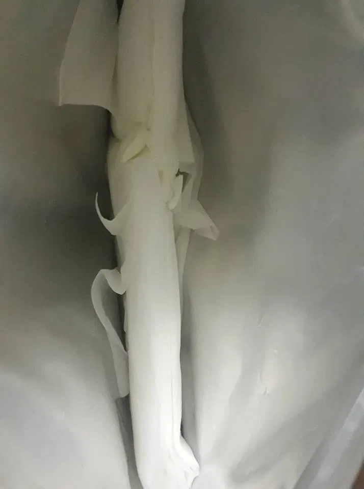 Mặt nạ được xếp gọn gàng trong túi zip (Nguồn: BlogAnChoi) Mặt nạ được xếp gọn gàng trong túi zip (Nguồn: BlogAnChoi)