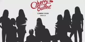 Cherry Bullet