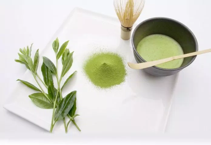 Uống bột trà xanh có tác dụng gì?