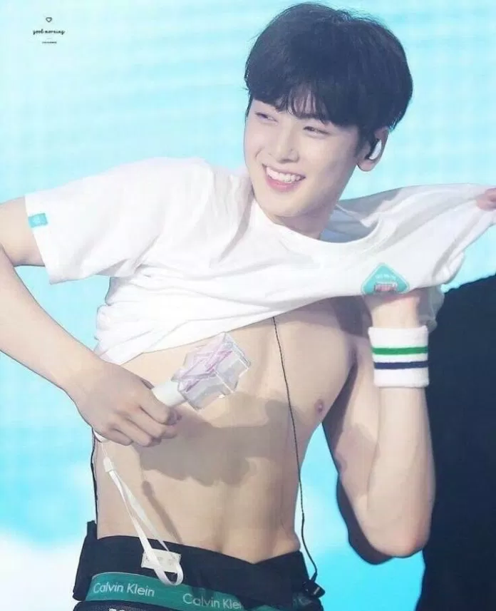 Cha Eunwoo