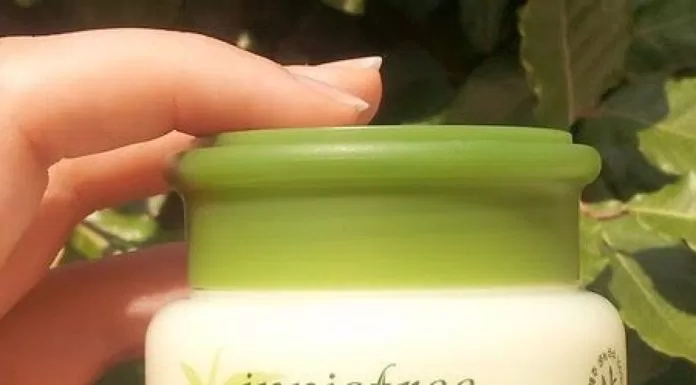 Kem Innisfree green tea fresh cream có thiết kế nhỏ gọn. (Nguồn: Internet)