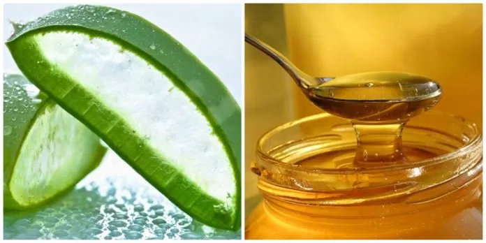3 công thức làm mặt nạ dưỡng môi cực đơn giản mà hiệu quả trong mùa lạnh bloganchoi