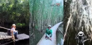 làng nổi tân lập