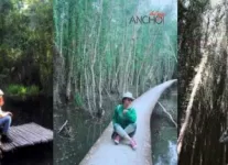 Long Island: Khu chụp ảnh cực Tây gây sốt ở Sài Gòn