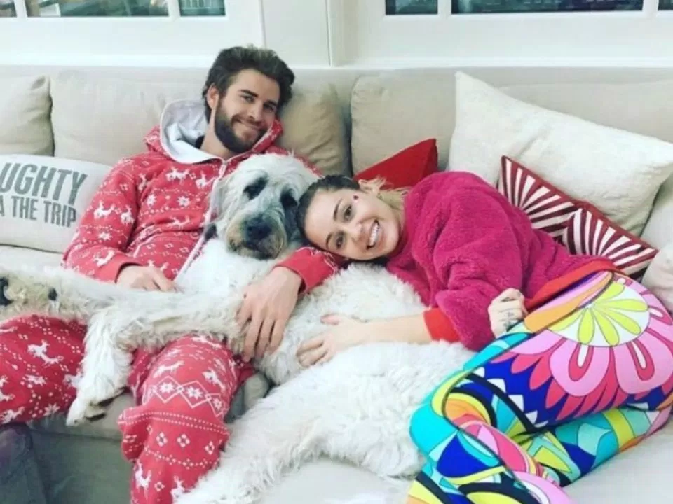 liam hemsworth và miley cyrus