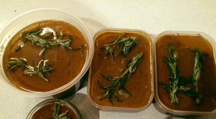 Pate gan gà