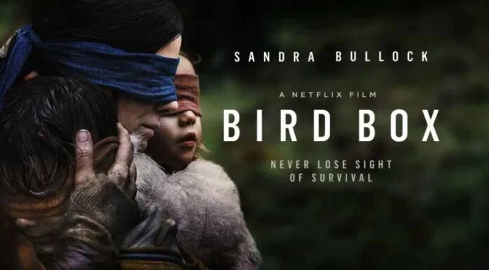 bird box lồng chim