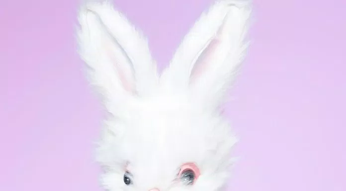 Thông tin thành viên nhóm nhạc Pink Fantasy