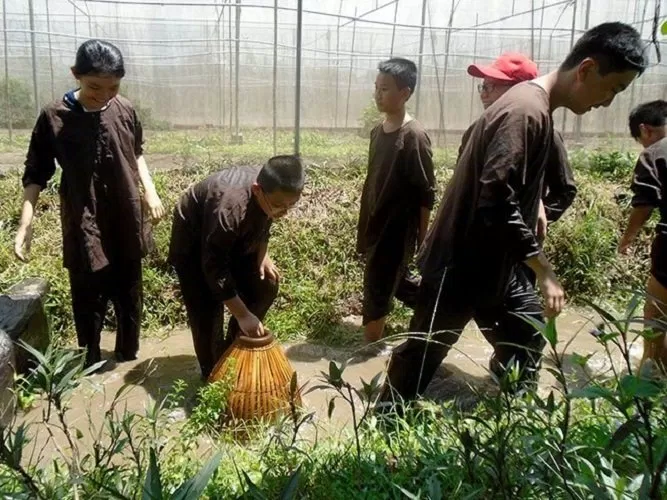 đi bắt cá