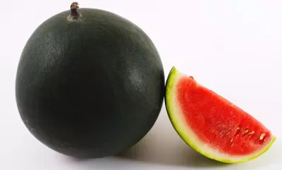 Dưa hấu đen Dưa hấu đen