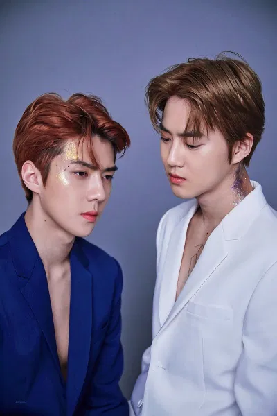 Suho Sehun EXO
