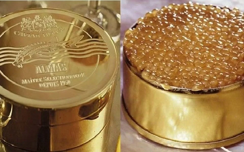 Trứng cá Trứng cá