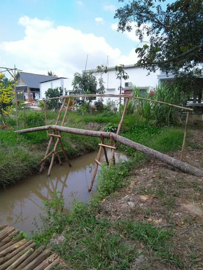 Cầu khỉ - một nét đặc trưng vùng Nam Bộ