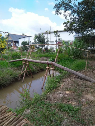 Cầu khỉ - một nét đặc trưng vùng Nam Bộ
