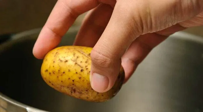 Cho khoai tây vào nồi Cho khoai tây vào nồi