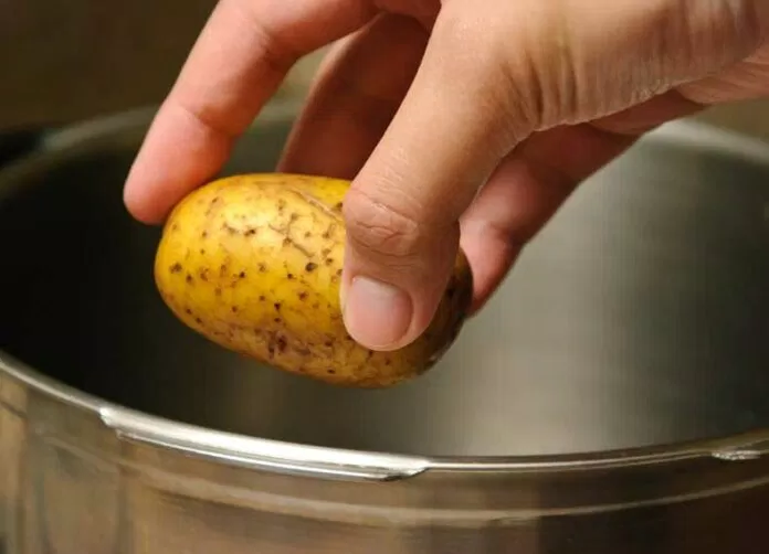 Cho khoai tây vào nồi Cho khoai tây vào nồi