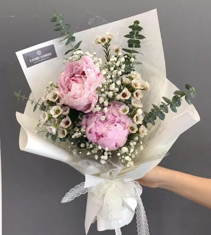 Hoa mẫu đơn tượng trưng cho sự chăm sóc và yêu thương. Nguồn: Internet
