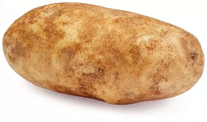Khoai tây Khoai tây