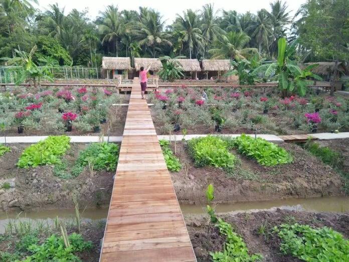 khung-canh-thanh-binh