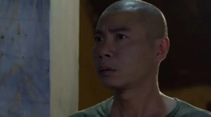 những cô gái trong thành phố